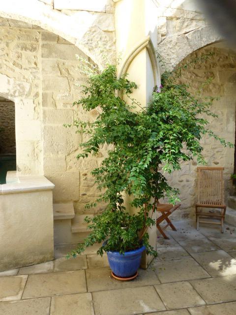 Hotel Cote Cour Chambres D'Hotes Bourg-Saint-Andeol Bagian luar foto